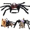 Cat SpiderCostume Photography Outfit Small Medium Dog Halloween Novelty Costume