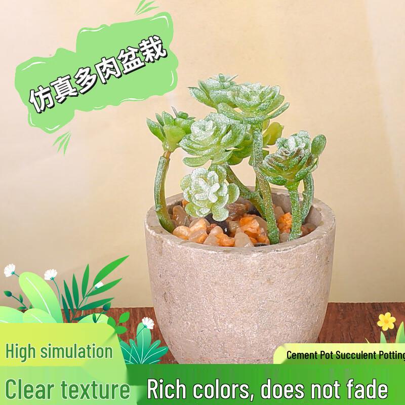 Artificial Succulent Plant in Cement Pot