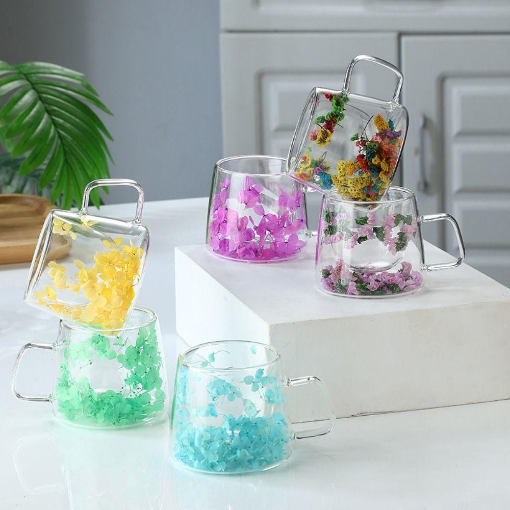 Double Insulated Double Wall Mug Milk Mug Clear Glass Cup Dried Flower Glass Cup Restaurant