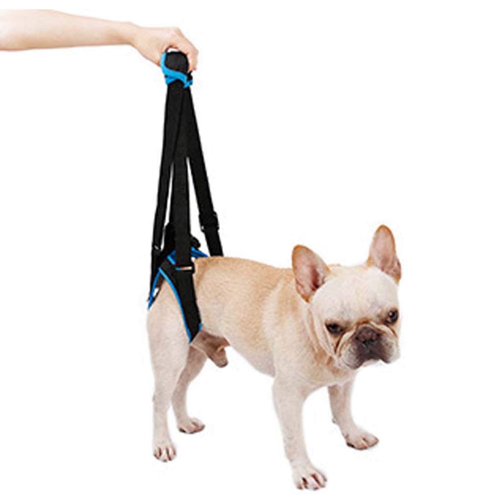 

Care dog support walking support elderly dog hind leg dog walking care harness for dog walking rescue small joint small medium large for for for for