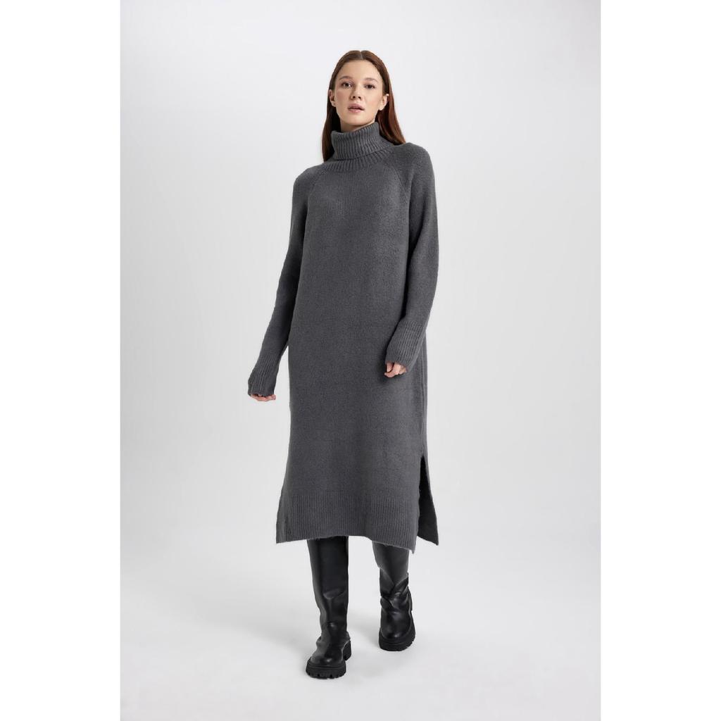Regular Fit Turtleneck Long Sleeve Dress C1932ax23wn