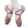 Adult & Children's Soft Sole Stretch Fabric Dance Shoes for Ballet & Latin Practice