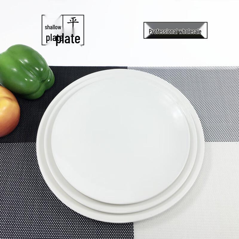 Pure White Round Ceramic Dinner Plates (10-Inch)
