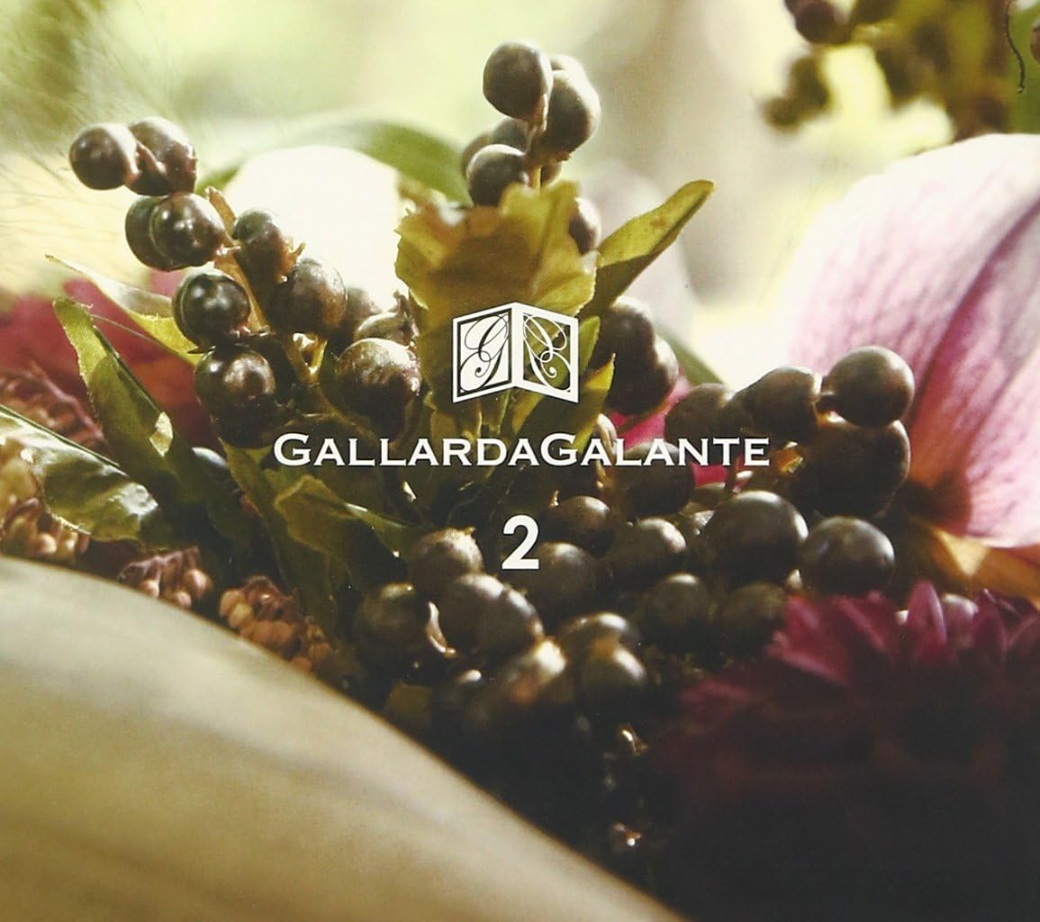 

CD РАЗНЫЕ - GALLARDAGALANTE 2 WALK IN THE FORES GGCD002 Японский Рок Б/У