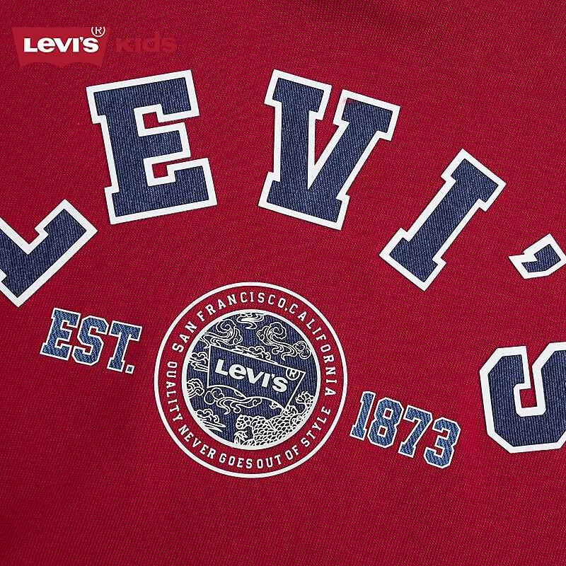Levi's 2025 Boys' Hooded Sweatshirt