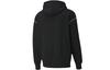 Puma ESS Sweatshirts Men's Black Hooded Moderate Regular 597886-01