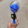 Fiore Immortale Rosa Il Piccolo Principe Cupola di Vetro Festa della Mamma San Valentino Ramo Singolo Rosa Immortale