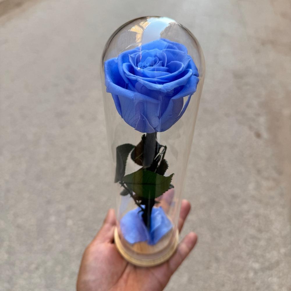 Fiore Immortale Rosa Il Piccolo Principe Cupola di Vetro Festa della Mamma San Valentino Ramo Singolo Rosa Immortale