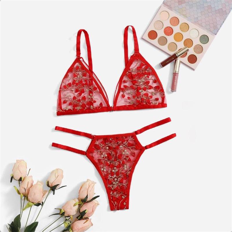 Sexy 3D Embroidered Floral Bra and Panty Set - Erotic Lingerie 2049