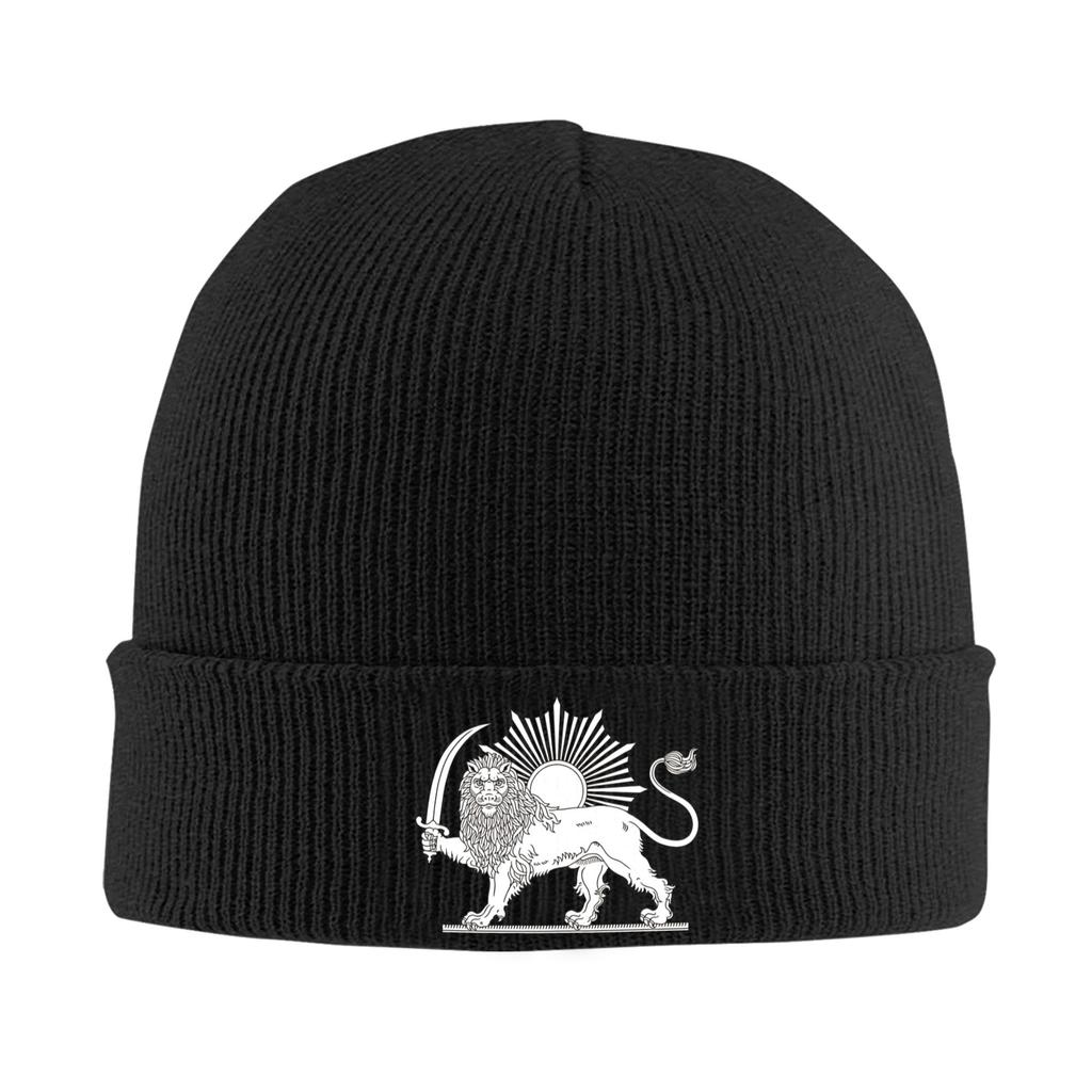 Lion and Sun of Flag Emblem Knitted Caps Women's Men's Beanie Autumn Winter Hats Acrylic  Warm Caps