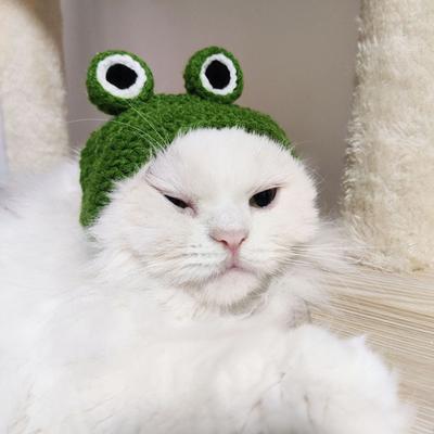 Pokrývka hlavy pro mazlíčky Pletená čepice Cosplay rekvizity Pokrývka hlavy