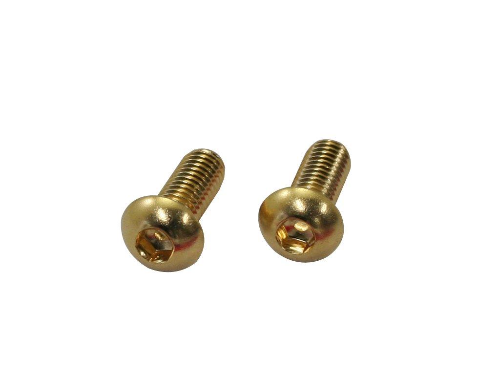CF Posh 24K plated stainless steel hexagon socket button cap M6-1.0 X15