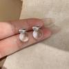 Summer Cooling Silver Needle Resin Round Stud Earrings Simple Fashion Ins Style Earrings Design Sense Niche Earrings Women