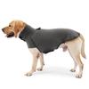 Autumn Winter New Dog Sweatshirt Turtleneck Fleece Lined Warm Cotton Coat Soft Home Wear Pet Clothes For Small Medium Dogs