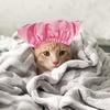 Balacoo Helmet Elastic Sphynx Indoor Cat Puppy Bath Pets Dogs Easter Ears Turban Household with Accessories Cap Wash Hat Band Ear Shower Adjustable