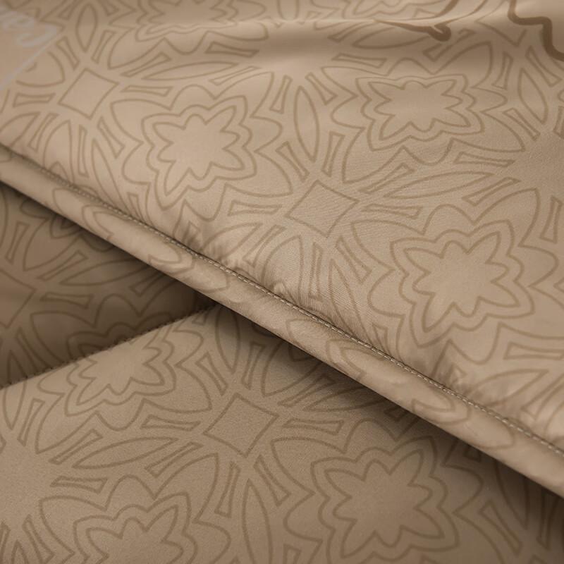 Thickened Warm Camel Wool Winter Quilt
