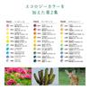 Tombo W Colored 100 Colors Color Complete Set Colors from All Natural Pencils, (Book Type), Dictionary, (100 Colors) CI-R100CBAZ