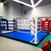 Kairui Boxing and Martial Arts Training Ring