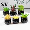 Artificial Plant Reusable Realistic PVC Fresh Keeping Grass Easy Care Succulents Bonsai for Home Decor