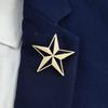 Stellar Mango Element Stainless Steel Brooch, Classic Fashion Badge, Banquet/Speech/Business Universal Lapel Jewelry.
