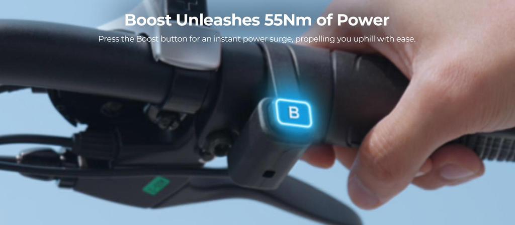 ENGWE EP-2 Boost Folding Electric Bike for Adult, 250W Motor, 48V 13AH Battery, 20''*4'' Fat Tire Bike