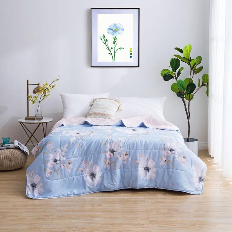 

Luolai Floral Summer Air-Conditioning Quilt