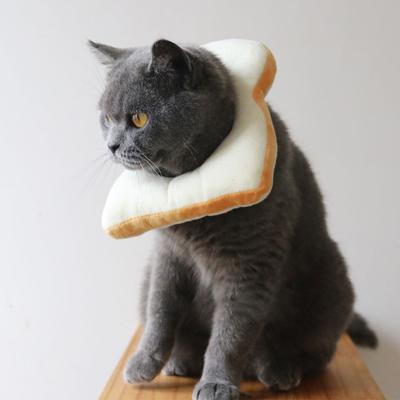 Ekmek Şeklinde Başlık Yumuşak Evcil Hayvan Kostümleri Kedi Cosplay Saç Bandı Premium Malzeme Evcil Hayvan Ürünleri Ev İçin Yavru Köpek Giysileri