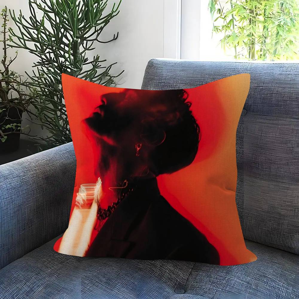 Rock Singer D-Damiano David Personalized Picture Text Home Decorative Pillows Household Gifts 45X45Cm