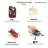 Children's Cognitive Toys: Frog Tadpole Growth Cycle Models