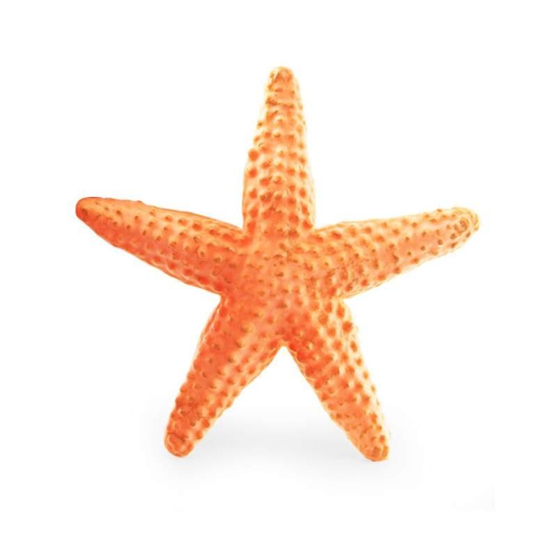 Marine Animal Model Pvc Toy For Childrens Educational Aquarium Decor