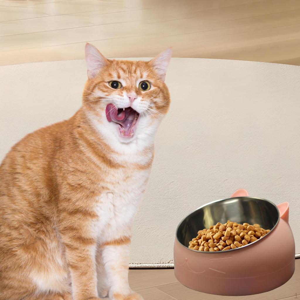 Raised Cat Bowl Anti Slip for Food Water Sleek Gift Pet Lover Sturdy Multiuse Stainless
