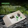 Smooth Tortoise Feeder Burr-free Turtle Feeding Basin Reptile Water Bowl  Snake