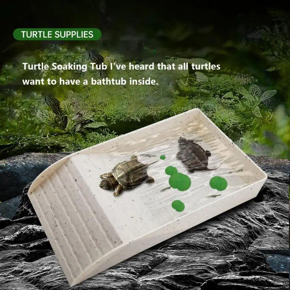 Smooth Tortoise Feeder Burr-free Turtle Feeding Basin Reptile Water Bowl  Snake