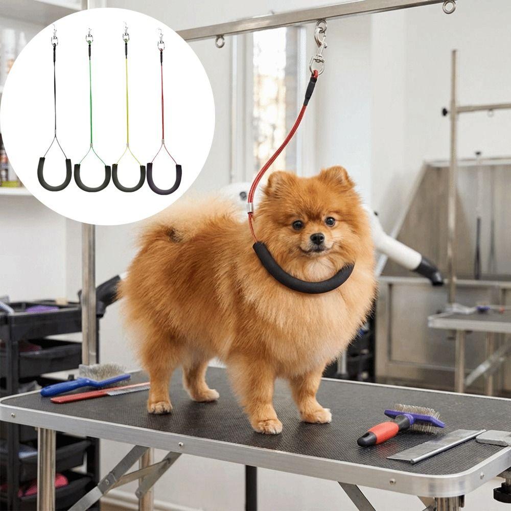 Soft Foam Padded Dog Restraint Rope Strong Steel Wire Pet Haunch Holder  Pet Nail Clipping