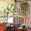 Patio Artificial Flowers 2-Pieces Outdoor Trailing Vines Artificial Cascading Flowers for Home Apartment Farmhouse Garden Patio