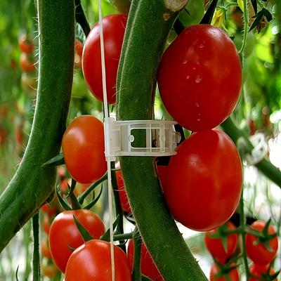 Outils de jardinage – Liens et attaches pour plantes