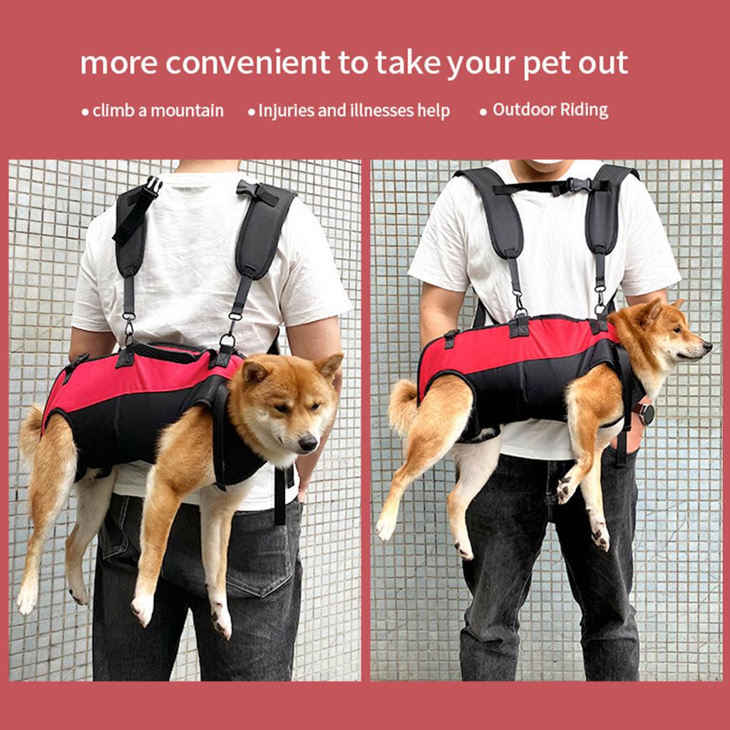 Pet Carrier Bag For Small Pet With Breathable Oxford Fabric Adjustable Shoulder Strap Horizontal Hugging Design Backpack