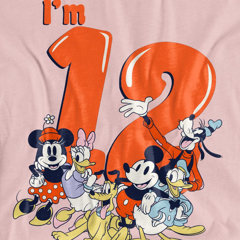 Mickey Mouse & Friends Womens/Ladies Vintage Group 12th Birthday T-Shirt