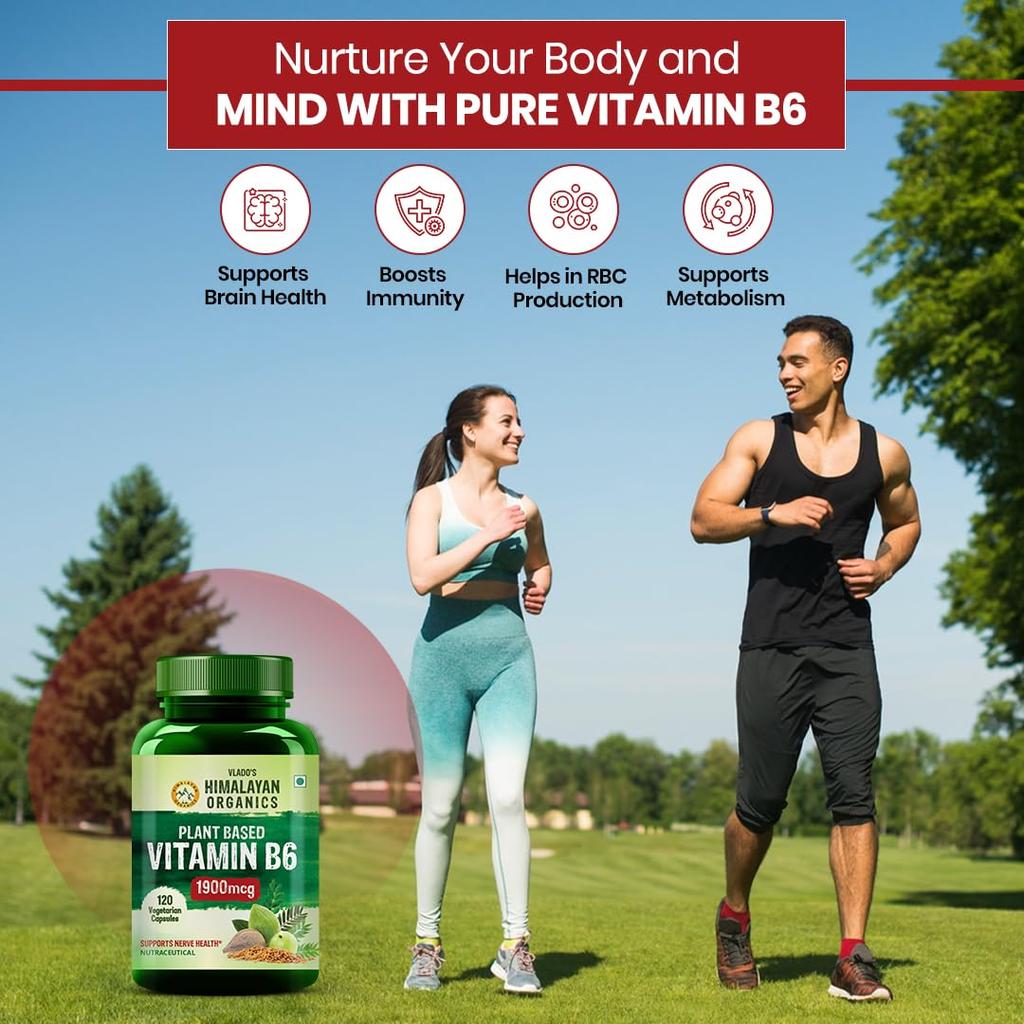 Vlado's Himalayan Organics Plant Based Vitamin B6 Capsules For Daily Wellness Energy Support And Brain Function 120 Capsules