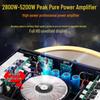 Songchuan SP101 Home KTV Professional Audio Speaker Set CN Plug (adapter Included)