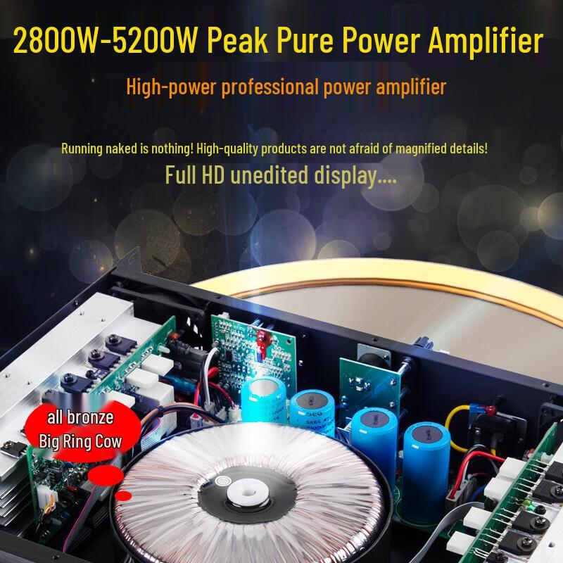 Songchuan SP101 Home KTV Professional Audio Speaker Set CN Plug (adapter Included)