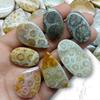 Designer Polished Natural Fossil Coral Cabochon, Loose Cabochon Lot, Mix Lot, Healing Gemstone Lot For Jewelry Making.
