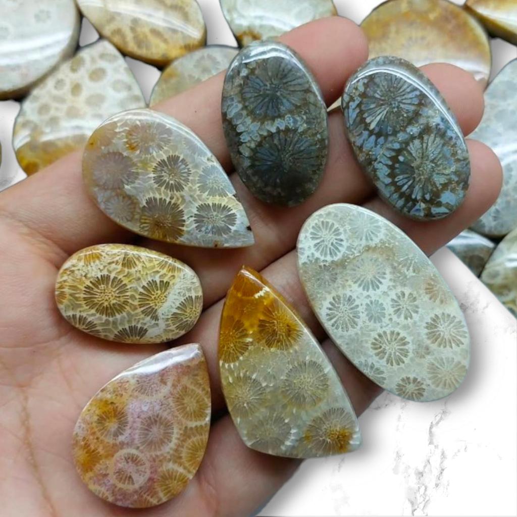 Designer Polished Natural Fossil Coral Cabochon, Loose Cabochon Lot, Mix Lot, Healing Gemstone Lot For Jewelry Making.
