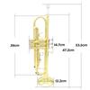 SLADE Brass Bb Trumpet Kit for Professional Beginner