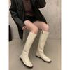 French brown Maillard skinny boots women's shoes 2025 new autumn Korean version boots medium tube knight boots