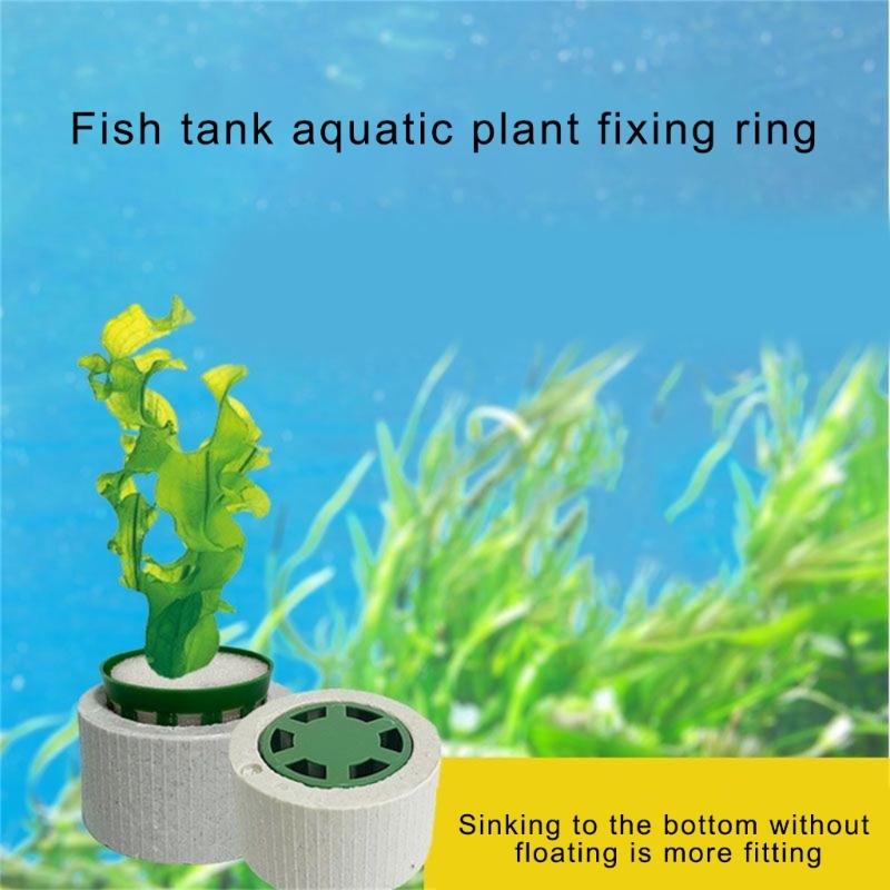 30 Stück Keramik Pflanzengewichte Kein Auftrieb Vegetationsstabilisatoren für Aquascaping Landschaften