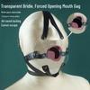 Clear Harness Mouth Gag: Deep Throat Ball for Forced Opening & Bite, Holy Water Prop.