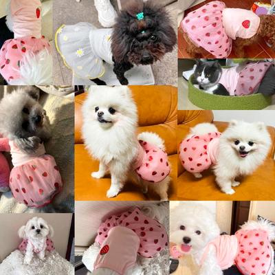 Dog Princess Dress Summer Puppy Clothes Luxury Strawberry Skirt Chihuahua Bichon Costume Pet Clothing for Dogs Cat Cooling Dress