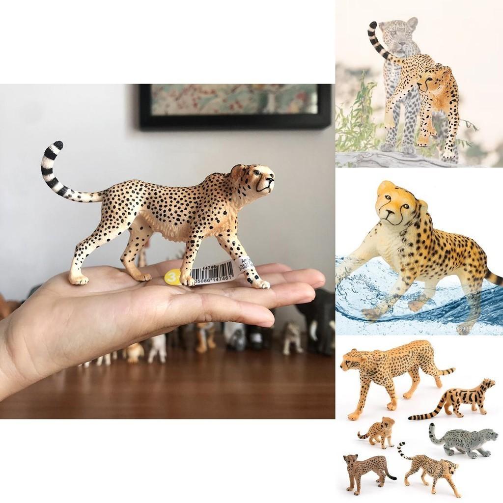 Statue Réaliste Faune Tête de Guépard Vers le Haut Léopard Nébuleux Léopard Africain Léopard Indien Collection Jouet 10*2.5*6.5cm)