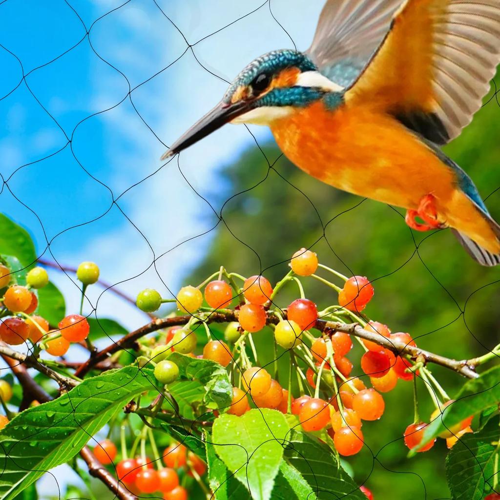 Bird Protection Net, 30 X 15 M, Stable Bird Net, Black Aviary Net, Plant Net, Pond Net, Garden Net, Pond Cover Net for Garden